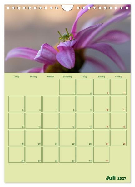 Produktbild: Die Welt der Insekten (Wandkalender 2027 DIN A4 hoch), CALVENDO Monatskalender