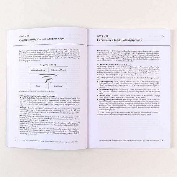 Produktbild: Therapie-Basics Plananalyse und Motivorientierte Beziehungsgestaltung