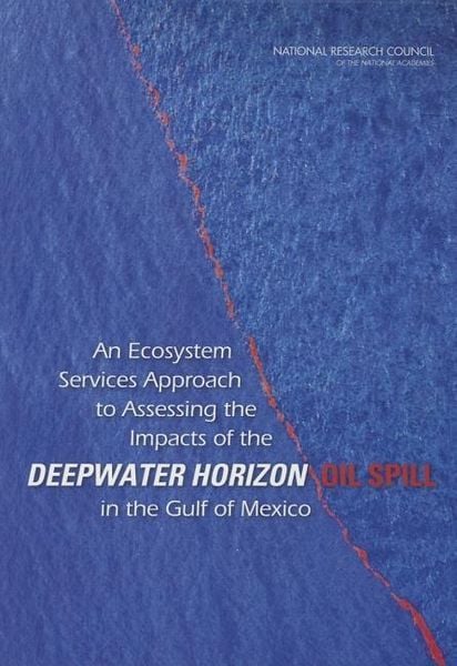 Produktbild: An Ecosystem Services Approach to Assessing the Impacts of the Deepwater Horizon Oil Spill in the Gulf of Mexico