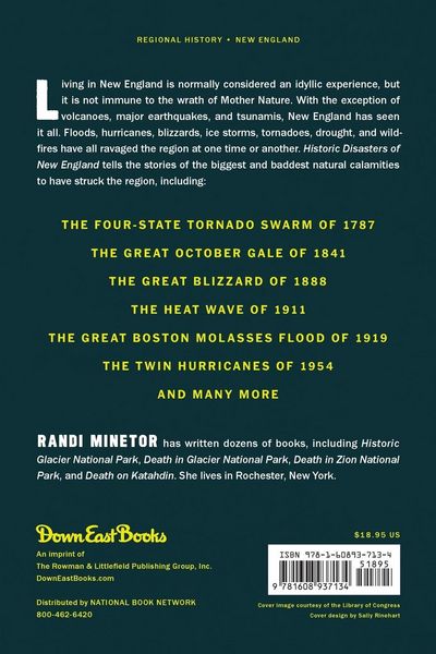 Produktbild: Historic Disasters of New England