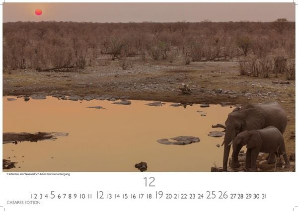 Produktbild: Namibia Kalender 2027 &ndash; Wandkalender | Fotokalender Afrika 24x35 cm - . mit atemberaubenden Landschaftsfotos und der Tierwelt.