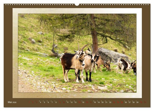 Produktbild: Das vergessene Tal. Schnalstal - Val Senales (Wandkalender 2026 DIN A2 quer), CALVENDO Monatskalender