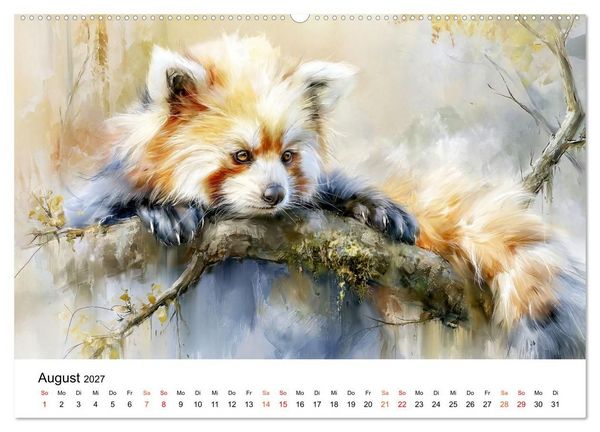 Produktbild: Roter Panda - Tierische Eleganz (Wandkalender 2027 DIN A2 quer), CALVENDO Monatskalender