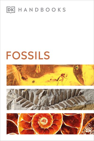 Produktbild: Fossils