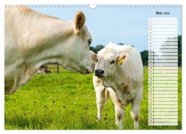 Produktbild: Geliebte Tiere auf dem Bauernhof (Wandkalender 2026 DIN A3 quer), CALVENDO Monatskalender