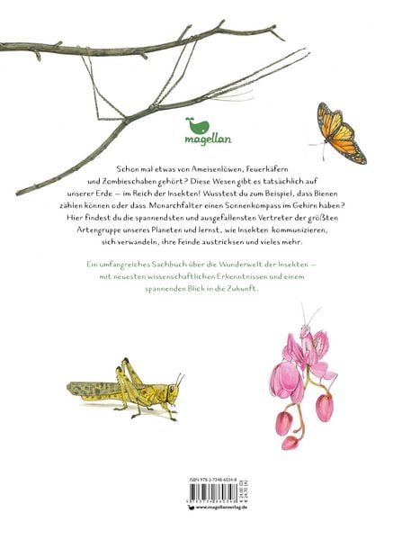 Produktbild: Insekten - Kleine Lebewesen, gro&szlig;e Vielfalt