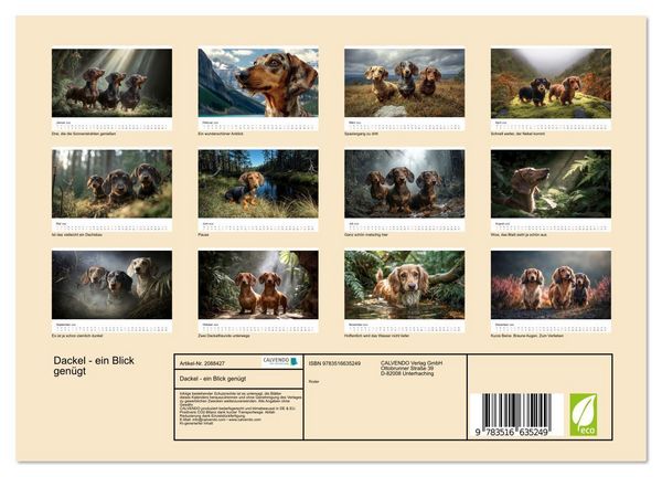 Produktbild: Dackel - ein Blick gen&uuml;gt (Wandkalender 2026 DIN A4 quer), CALVENDO Monatskalender
