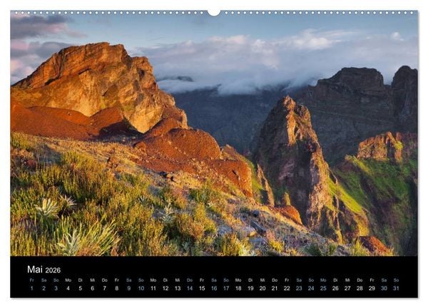 Produktbild: Wildes Europa 2026 (Wandkalender 2026 DIN A2 quer), CALVENDO Monatskalender