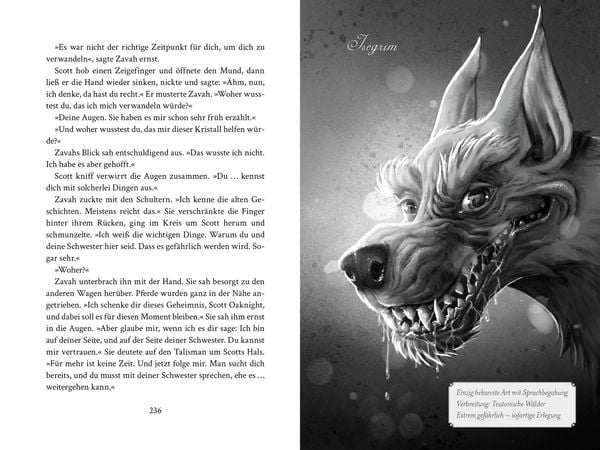 Produktbild: Die Oaknight-Chroniken (Bd.1) - Werwolfjagd i. Familiensache