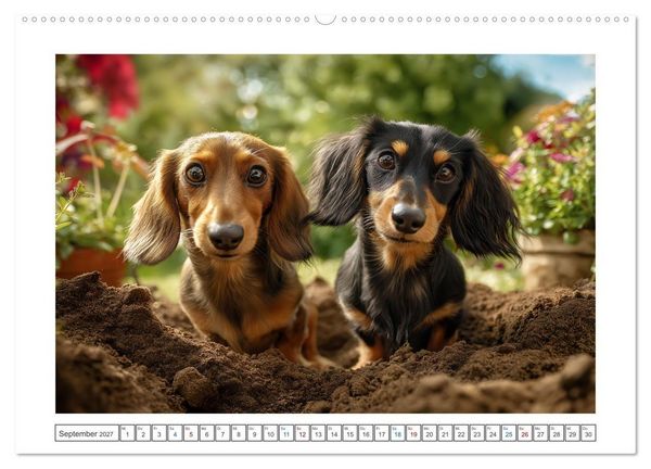 Produktbild: Kleine Beine, gro&szlig;es Gl&uuml;ck (hochwertiger Premium Wandkalender 2027 DIN A2 quer), Kunstdruck in Hochglanz