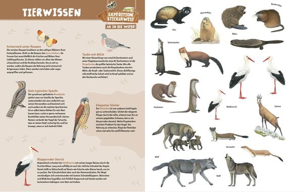Produktbild: Expedition Stickerwelt - Ab in die Wiese!