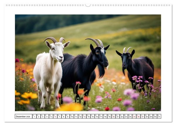 Produktbild: Haustiere - Black and White (Wandkalender 2026 DIN A2 quer), CALVENDO Monatskalender