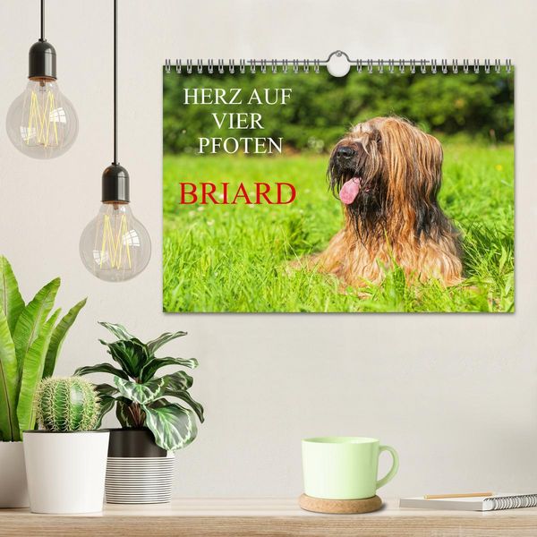 Produktbild: Herz auf vier Pfoten - Briard (Wandkalender 2026 DIN A4 quer), CALVENDO Monatskalender