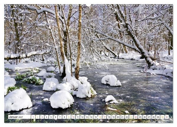 Produktbild: 12 Monate Natur (Wandkalender 2027 DIN A2 quer), CALVENDO Monatskalender