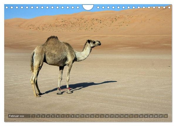 Produktbild: Sultanat Oman (Wandkalender 2026 DIN A4 quer), CALVENDO Monatskalender