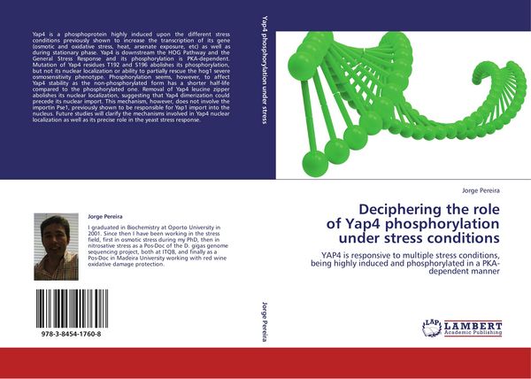 Produktbild: Deciphering the role of Yap4 phosphorylation under stress conditions