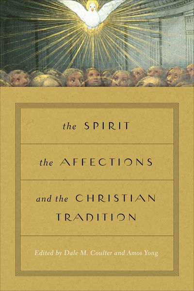 Produktbild: The Spirit, the Affections, and the Christian Tradition