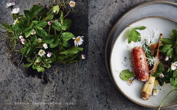 Produktbild: Garden