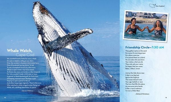 Produktbild: The Poetry of Us