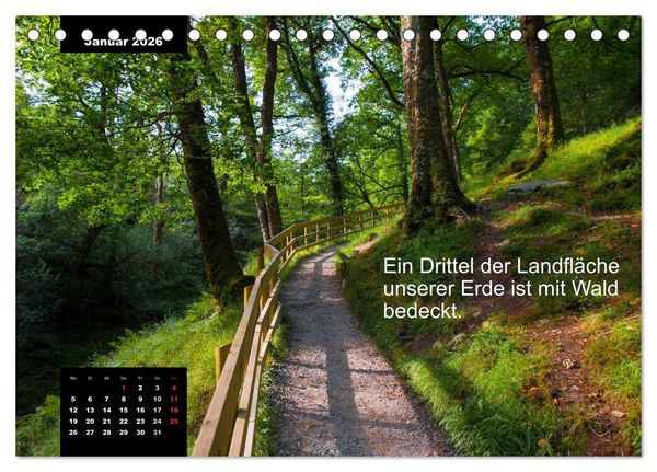 Produktbild: Schlaumeier-Kalender - Thema: Wald (Tischkalender 2026 DIN A5 quer), CALVENDO Monatskalender