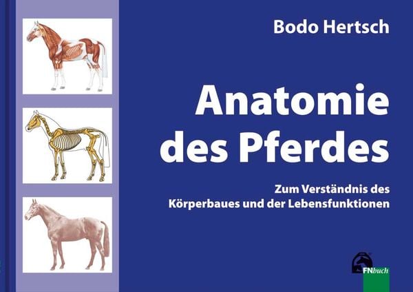 Produktbild: Anatomie des Pferdes