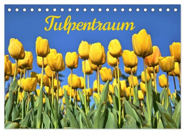 Produktbild: Tulpentraum (Tischkalender 2026 DIN A5 quer), CALVENDO Monatskalender