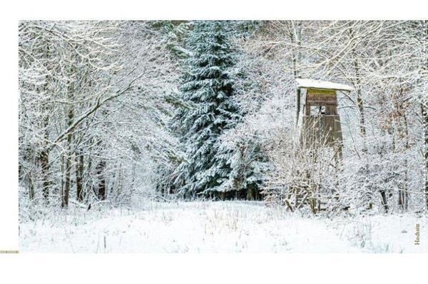 Produktbild: Escape Christmas - Der Adventskalender zum Auftrennen