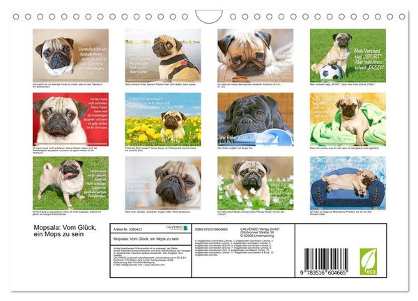 Produktbild: Mopsala: Vom Gl&uuml;ck, ein Mops zu sein (Wandkalender 2026 DIN A4 quer), CALVENDO Monatskalender