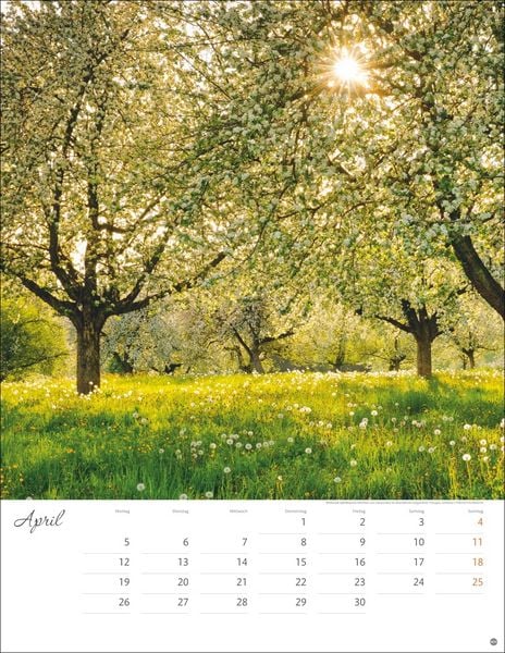 Produktbild: Jenseits der Hast Posterkalender 2027