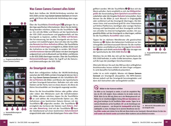 Produktbild: Canon EOS 200D / 250D