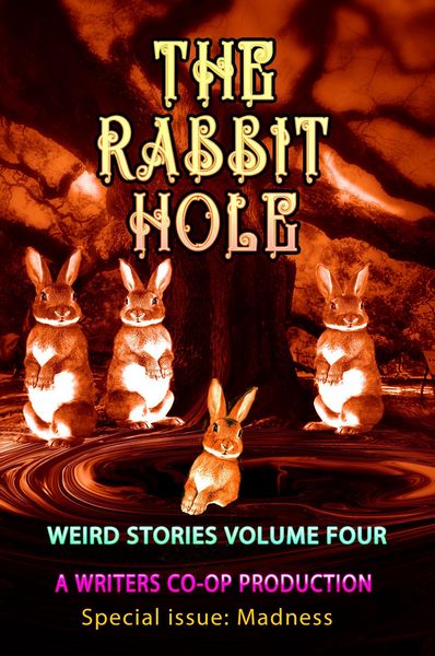 Produktbild: The Rabbit Hole (Weird Stories, #4)