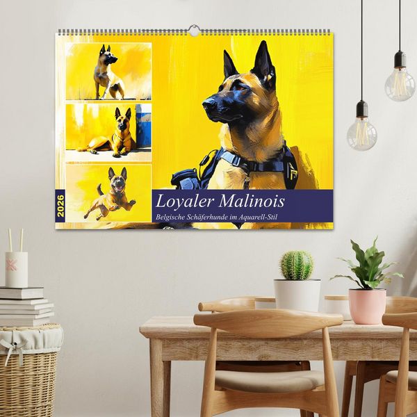 Produktbild: Loyaler Malinois. Belgische Sch&auml;ferhunde im Aquarell-Stil (Wandkalender 2026 DIN A2 quer), CALVENDO Monatskalender