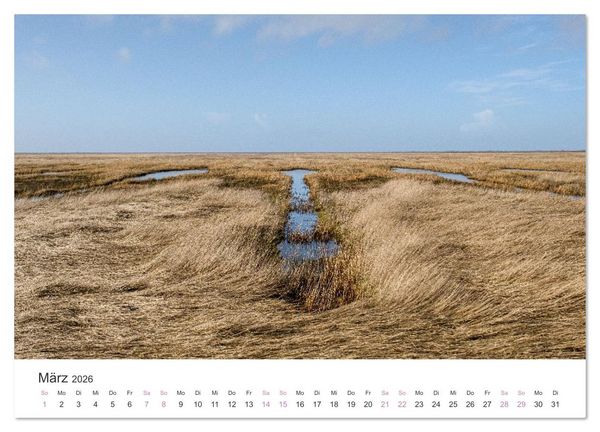 Produktbild: Hamburger Hallig - Der Weg ist das Ziel (Wandkalender 2026 DIN A3 quer), CALVENDO Monatskalender