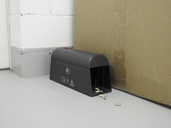 Produktbild: Swissinno Elektr. Maus-und Rattenfalle SuperCat mit Bluetooth Mausefalle 1St.