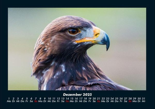 Produktbild: Adler 2025 Fotokalender DIN A4