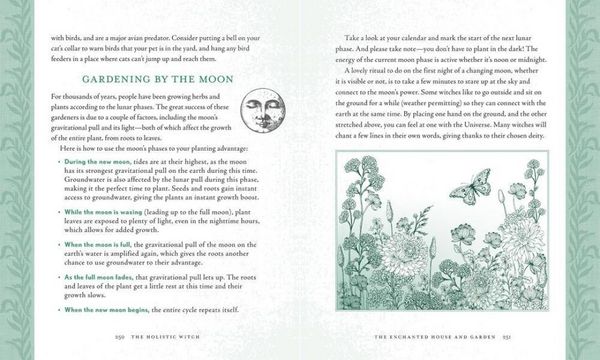 Produktbild: The Holistic Witch