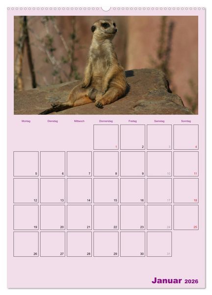 Produktbild: Erdm&auml;nnchen / Terminplaner (Wandkalender 2026 DIN A2 hoch), CALVENDO Monatskalender