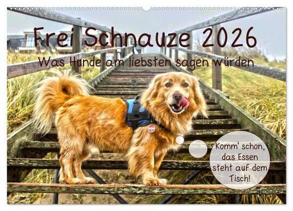 Frei Schnauze 2026. Was Hunde am liebsten sagen würden (Wandkalender 2026 DIN A2 quer), CALVENDO Monatskalender