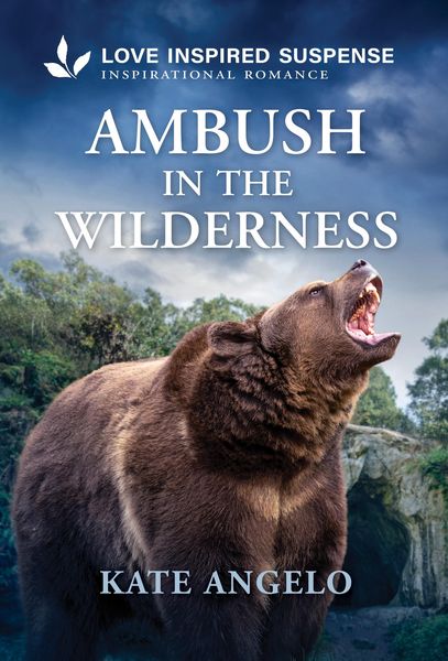 Produktbild: Ambush in the Wilderness