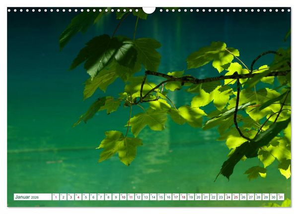 Produktbild: GR&Uuml;N . Die Kraft der Natur (Wandkalender 2026 DIN A3 quer), CALVENDO Monatskalender