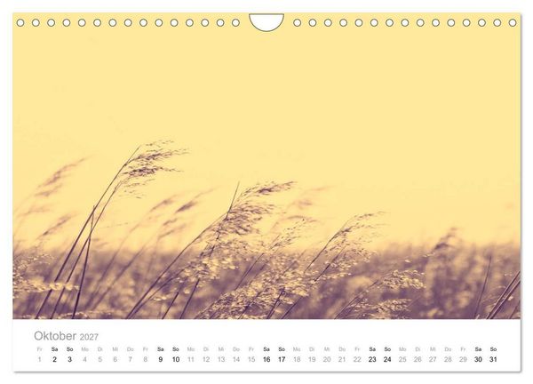 Produktbild: Farbrausch - die Welt in Pastell (Wandkalender 2027 DIN A4 quer), CALVENDO Monatskalender