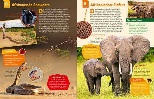 Produktbild: WAS IST WAS Geniale Tiere ... und ihre Tricks