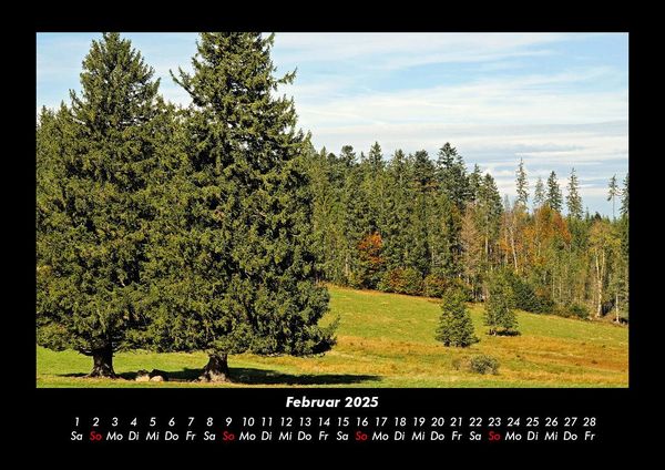 Produktbild: B&auml;ume 2025 Fotokalender DIN A3