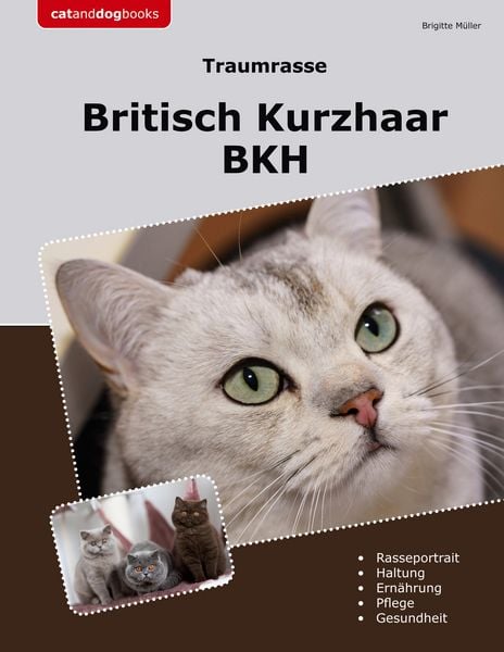 Produktbild: Traumrasse Britisch Kurzhaar