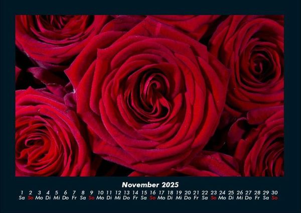 Produktbild: Blumenkalender 2025 Fotokalender DIN A4