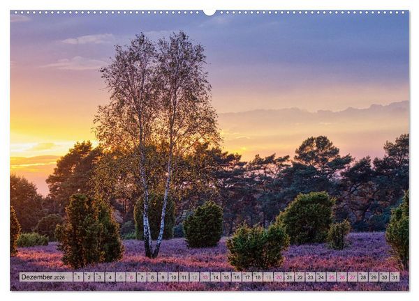 Produktbild: L&uuml;neburger S&uuml;dheide (hochwertiger Premium Wandkalender 2026 DIN A2 quer), Kunstdruck in Hochglanz
