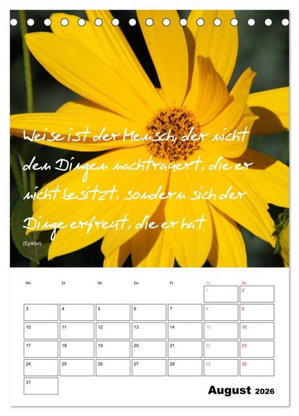 Produktbild: Spr&uuml;che und Weisheiten f&uuml;r&acute; s Jahr (Tischkalender 2026 DIN A5 hoch), CALVENDO Monatskalender