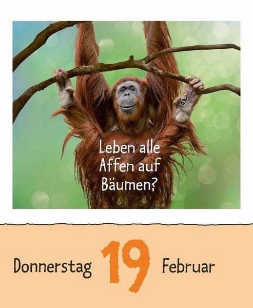 Produktbild: Wie faul ist das Faultier? 2026