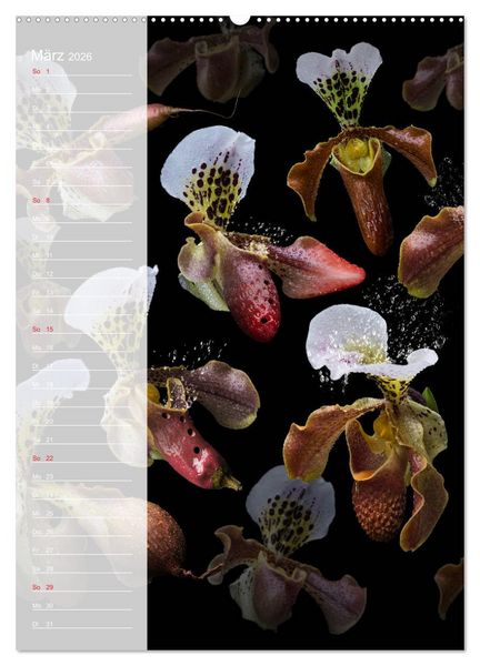 Produktbild: Funny Kitchen - Der verr&uuml;ckte K&uuml;chenplaner (hochwertiger Premium Wandkalender 2026 DIN A2 hoch), Kunstdruck in Hochglanz