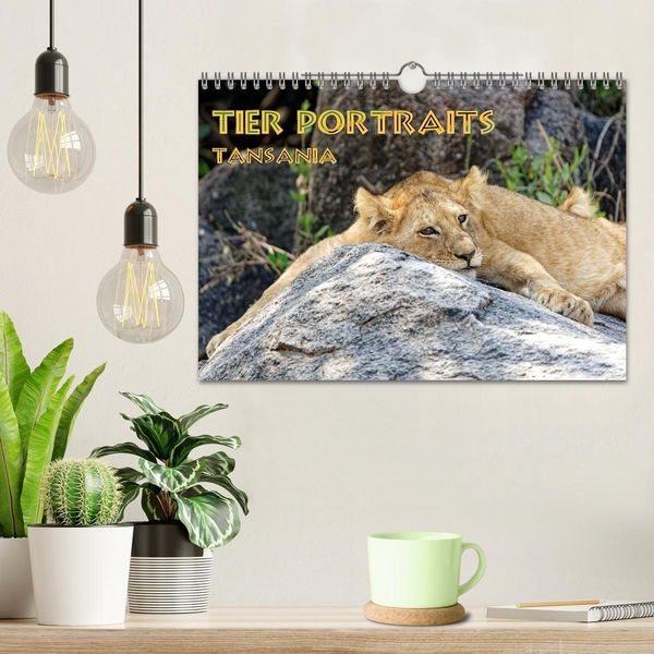 Produktbild: Tier Portraits Tansania (Wandkalender 2026 DIN A4 quer), CALVENDO Monatskalender